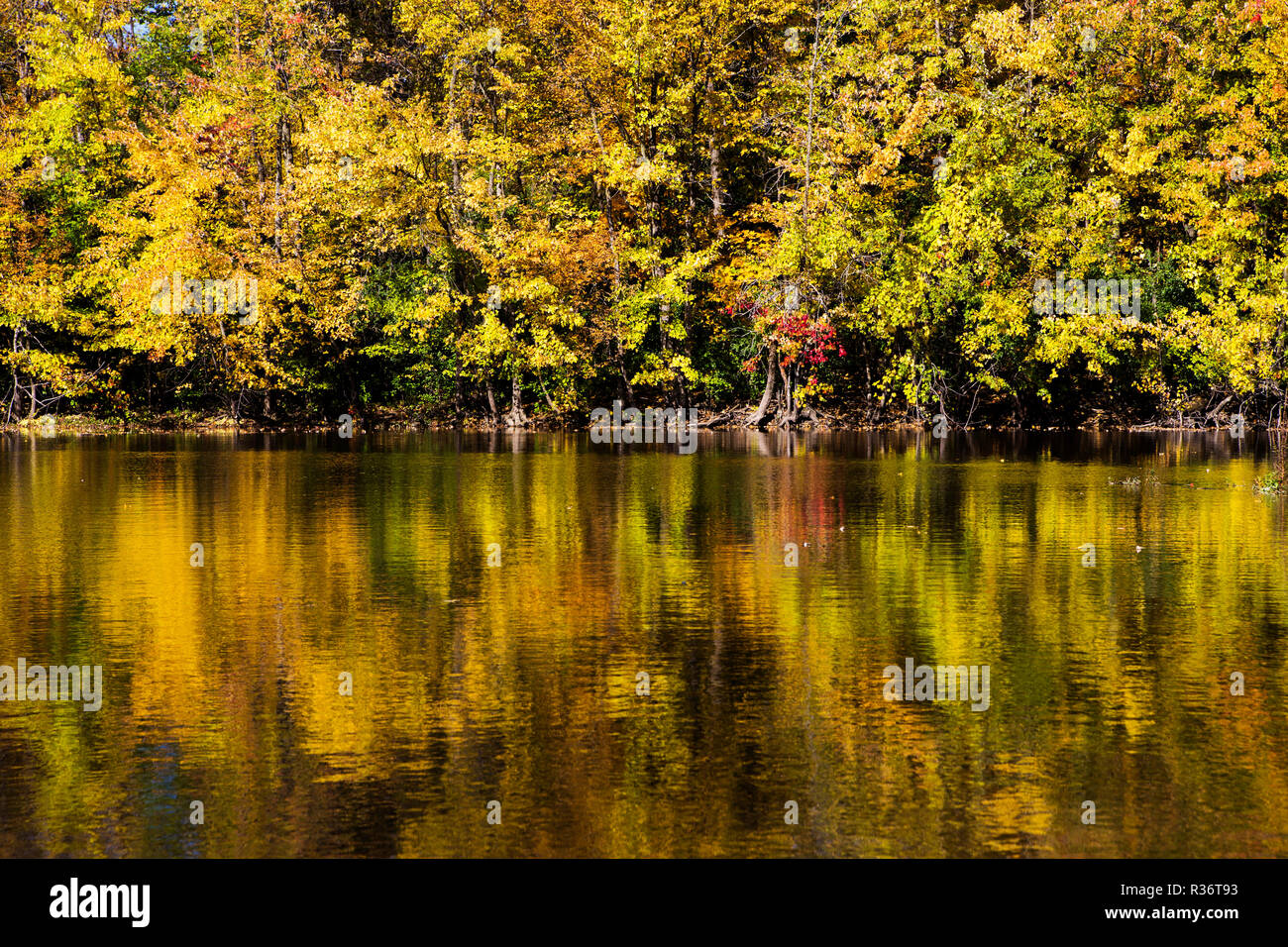 Riviere des Mille Iles Nature Park in autumn, Quebec, Canada Stock Photo