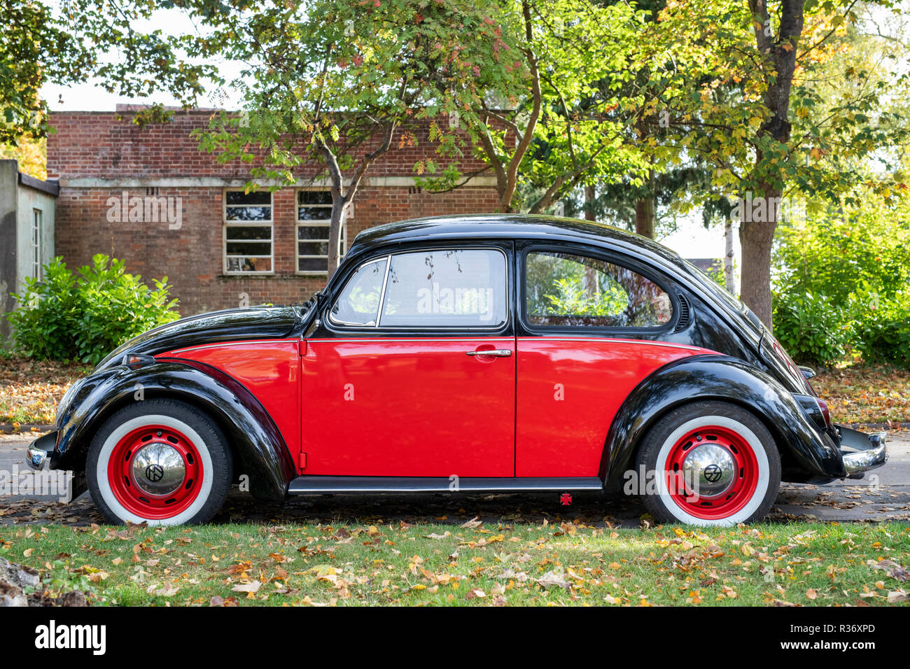 Red and black vintage VW Beetle car at Bicester heritage centre autumn sunday scramble event. Bicester, Oxfordshire, UK Stock Photo