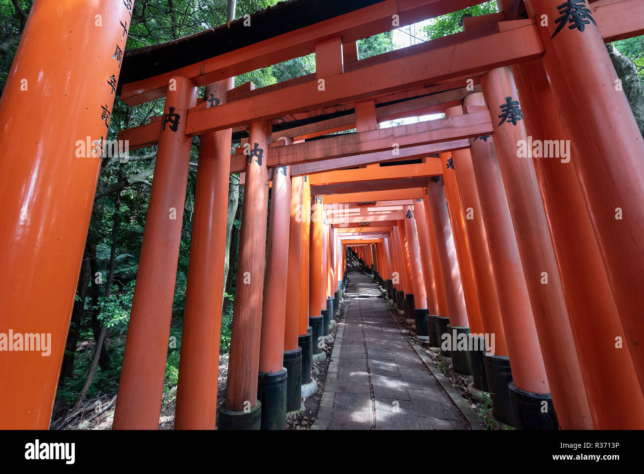 Red Torii gates in Fushimi Inari shrine in Kyoto, Japan Stock Photo - Alamy