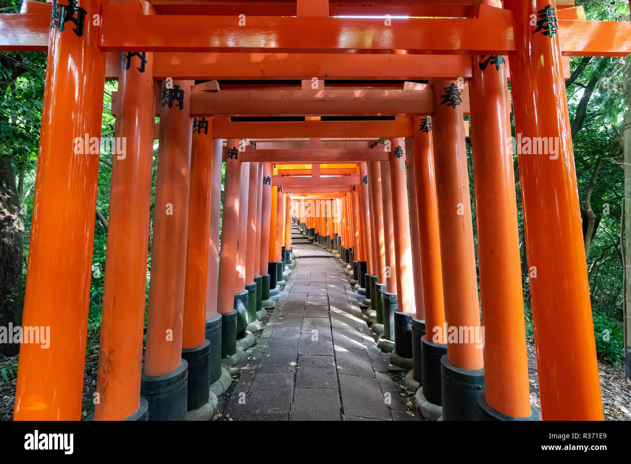 Red Torii gates in Fushimi Inari shrine in Kyoto, Japan Stock Photo - Alamy