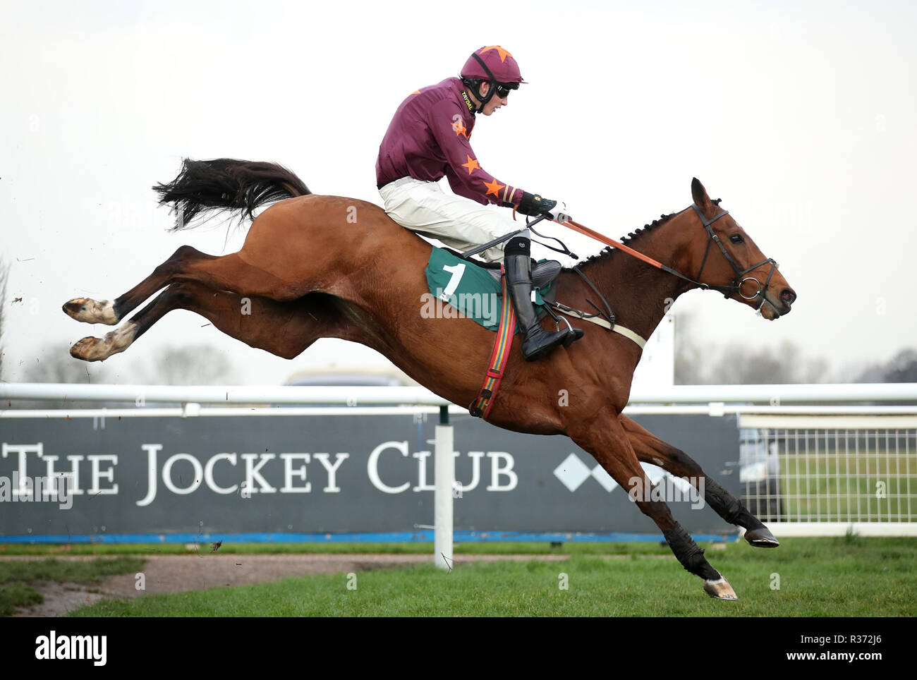 Marienstar ridden by Jack Andrews wins the Fourpenny Plate Mares’ Novices’ Handicap Chase at Warwick Racecourse. Stock Photo