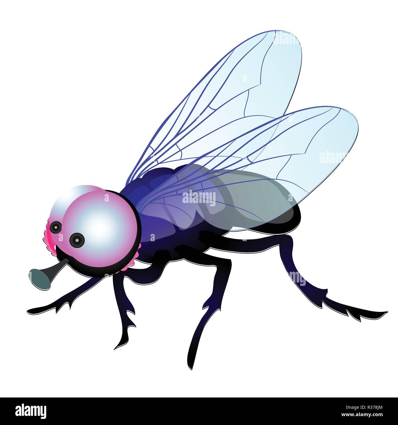 Funny fly with big eyes isolated on white background. Vector cartoon  close-up illustration Stock Vector Image & Art - Alamy