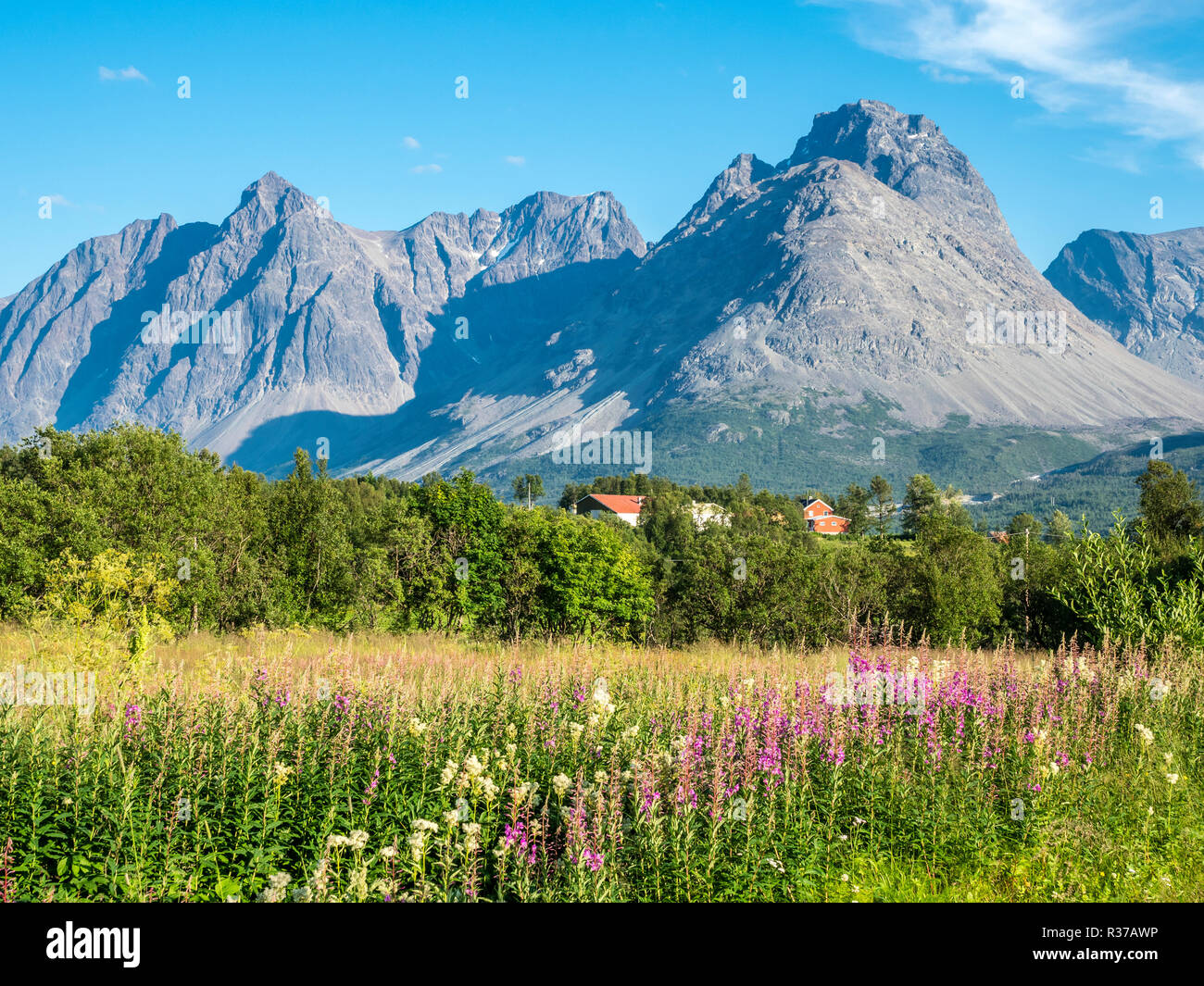 Lyngen alps summer hi-res stock photography and images - Alamy