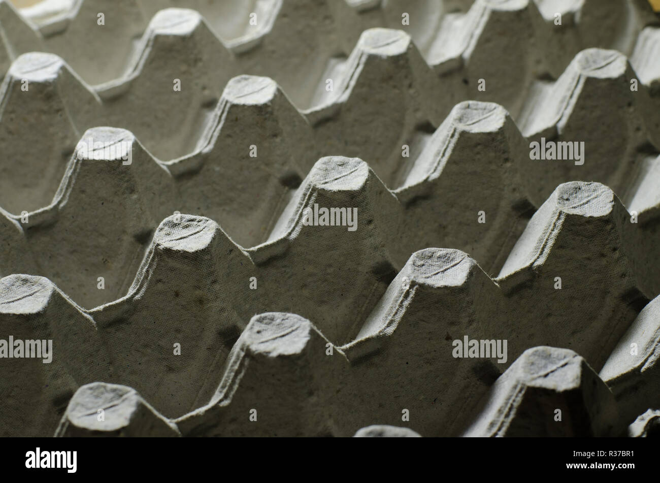 Close up empty egg tray. Paper pack for eggs, food container concept. Stock Photo