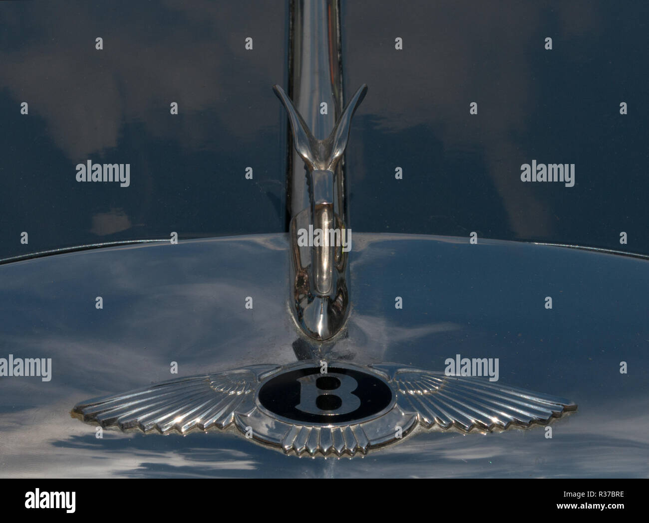 Bentley Car Marque and Bonnet Stock Photo