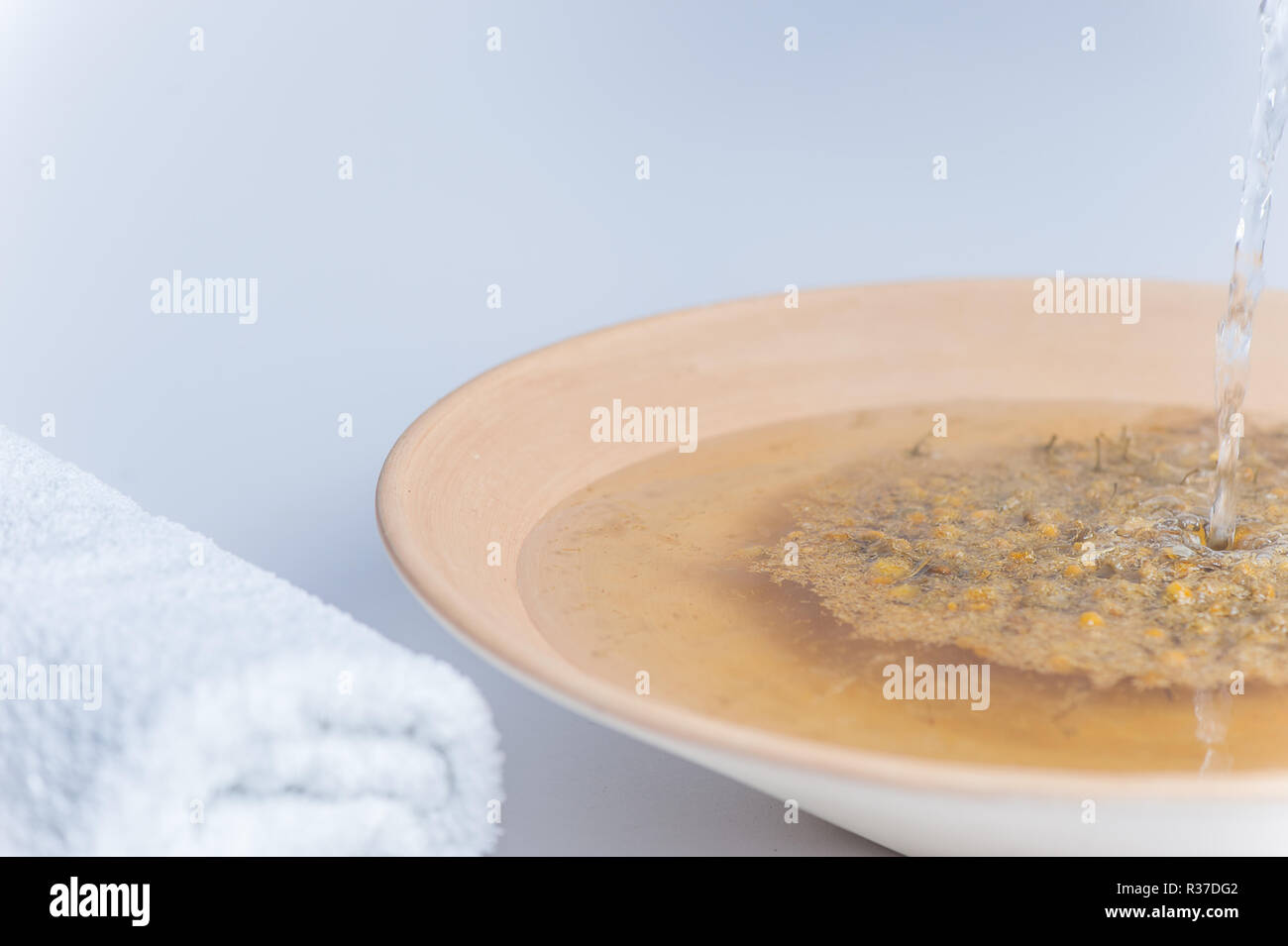 chamomile infusion Stock Photo