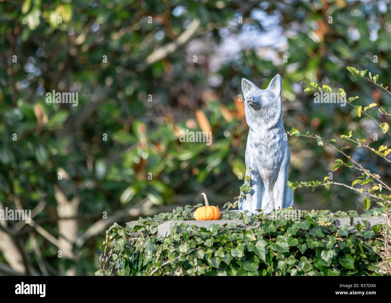 Dog sculpture with small pumpkin on a ivy covered column in Southampton, NY Stock Photo