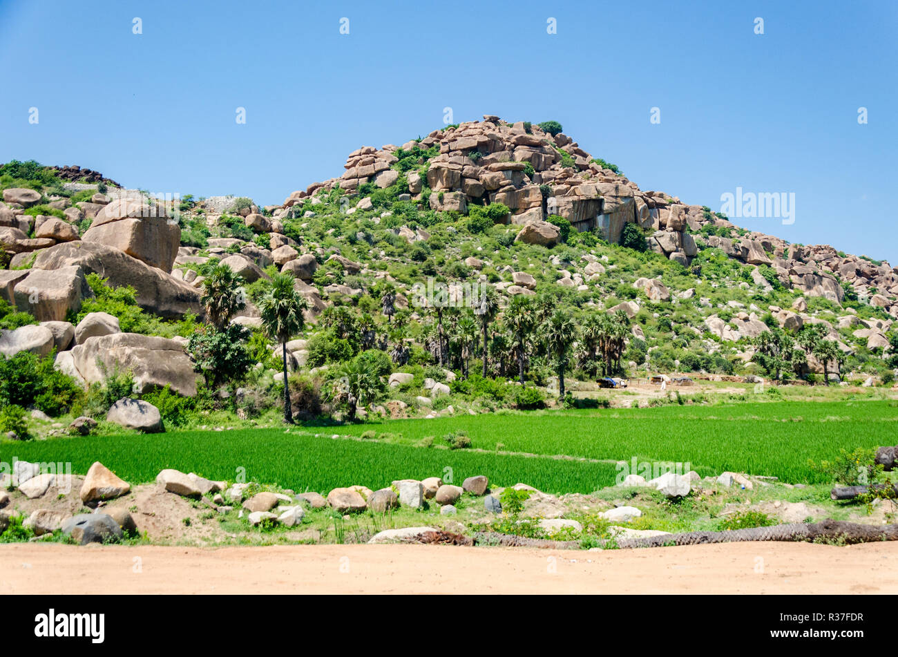 Paddy fields amidst heaps of boulders at Anegundi, Karnataka, India. Stock Photo