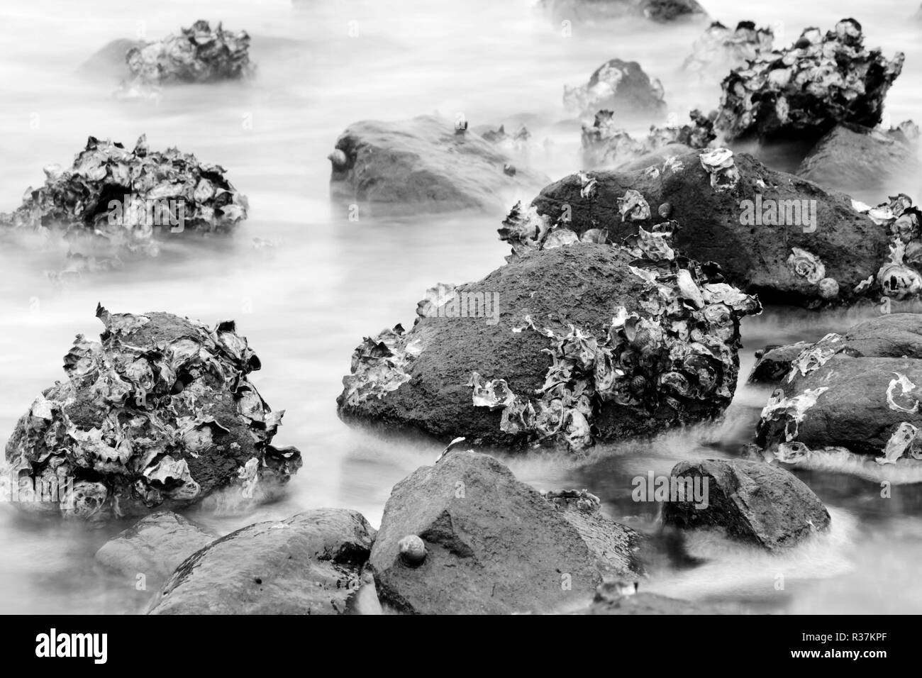 Deep colour sunset Black and White Stock Photos & Images - Alamy