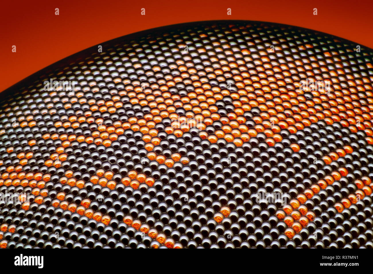 Extremely sharp and detailed fly compound eye surface at an extreme magnification Stock Photo