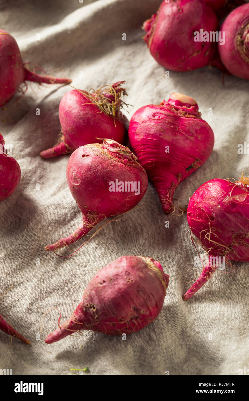 Beets with roots hires stock photography and images Alamy