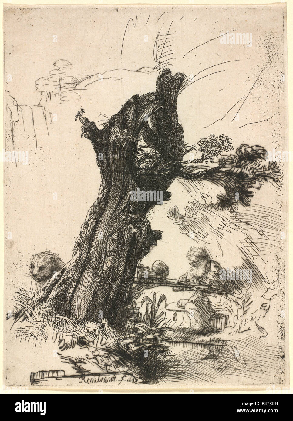 Saint Jerome beside a Pollard Willow. Dated: 1648. Dimensions: plate: 17.8 x 13.2 cm (7 x 5 3/16 in.)  sheet: 18.1 x 13.6 cm (7 1/8 x 5 3/8 in.). Medium: etching and drypoint. Museum: National Gallery of Art, Washington DC. Author: REMBRANDT, HARMENSZOON VAN RIJN. Rembrandt (Rembrandt van Rijn). Stock Photo