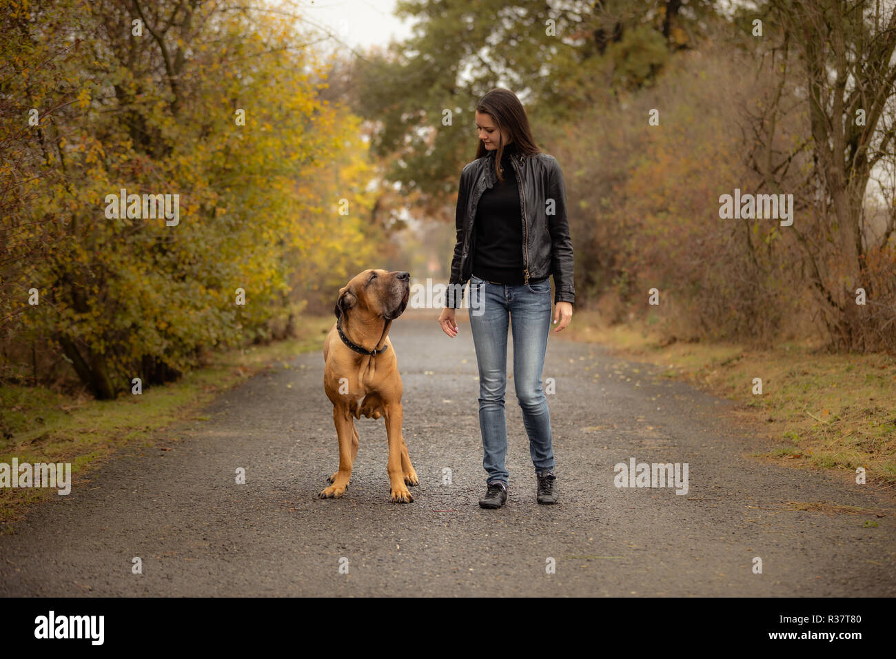 Filã Stock Photos Filã Stock Images Alamy