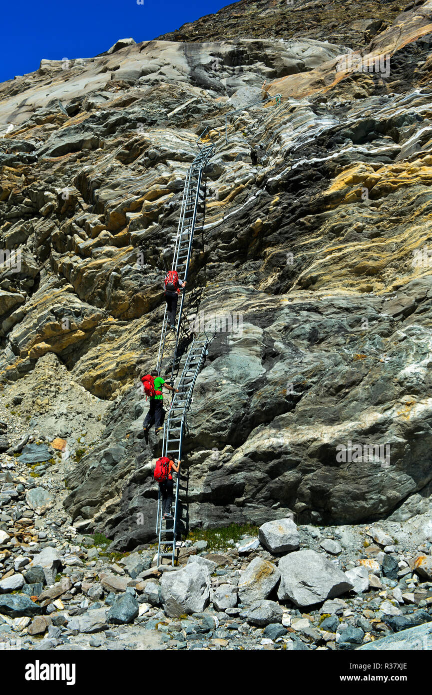 Alpine trail with metal ladders in the rock to the Monte Rosa hut, on the  edge of the Gorn glacier, Zermatt, Valais, Switzerland Stock Photo - Alamy