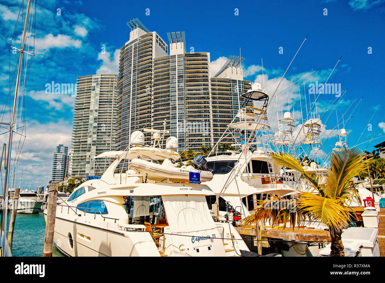 Miami, USA-February 19, 2017 :View of luxurious boats and yacht docked in a Miami South Beach Marina Stock Photo