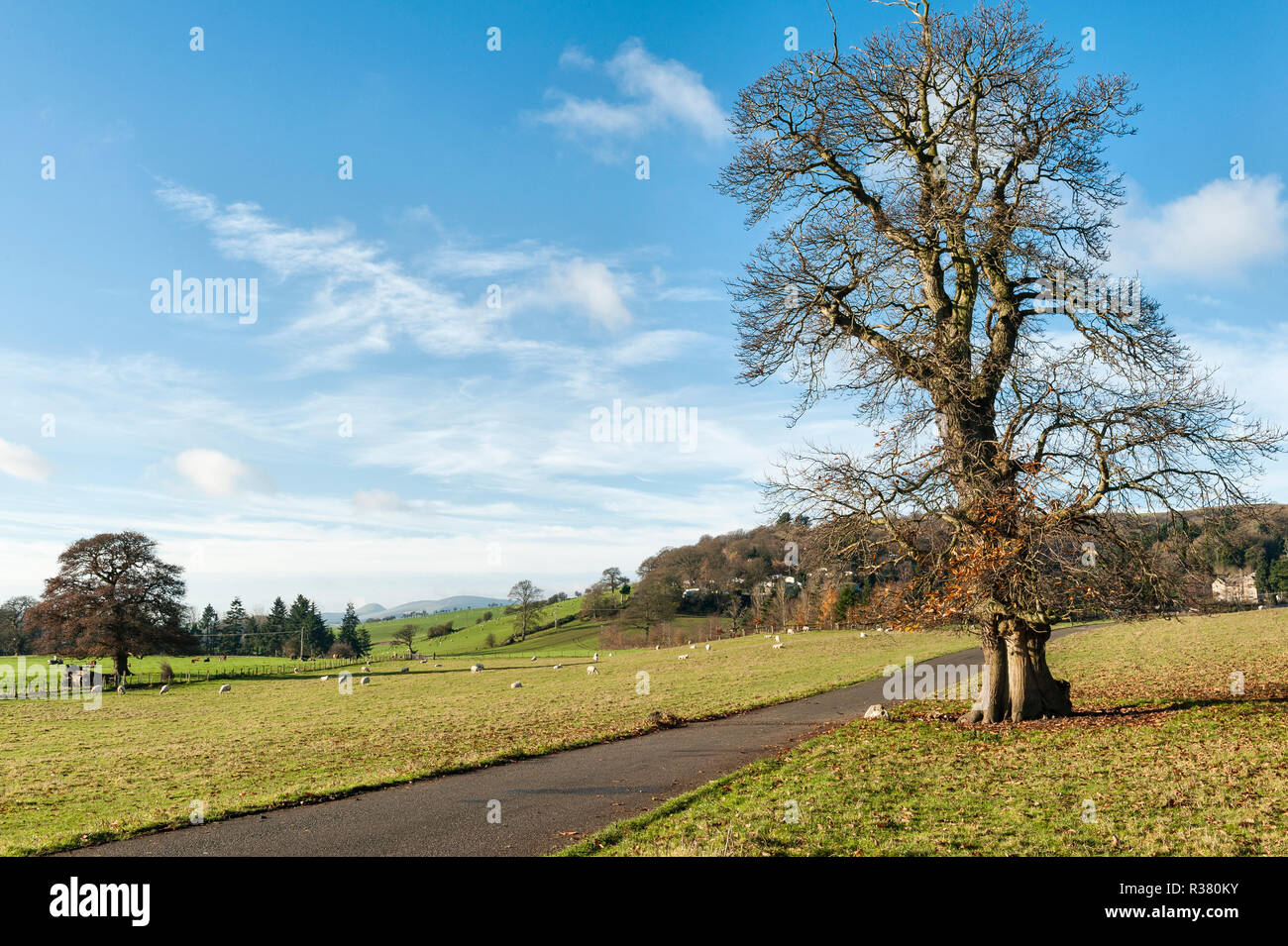 Approach to Norton Manor Estate, Knighton, Powys, Wales. A development