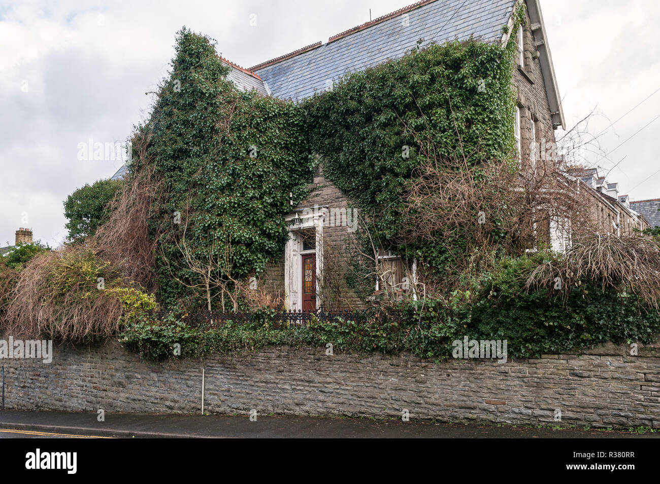 Merthyr Tydfil, South Wales, UK. An old neglected house heavily overgrown with ivy Stock Photo