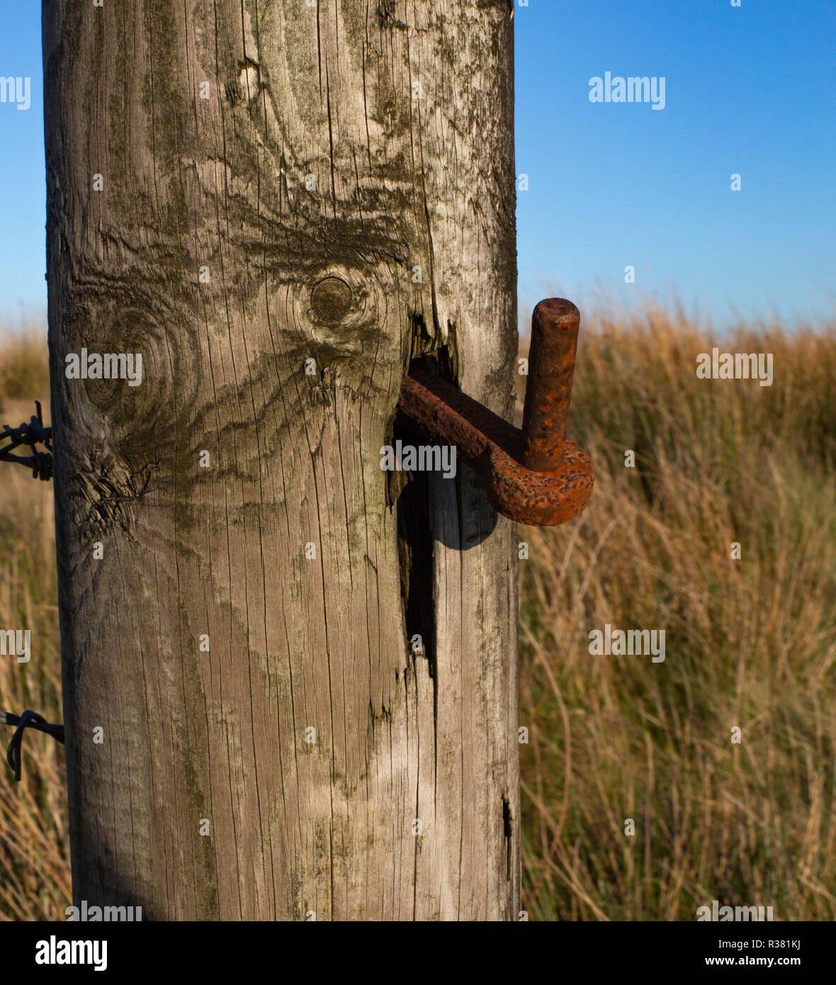 Rusted hinge protruding from a gatepost, West Pennine Moors. Stock Photo