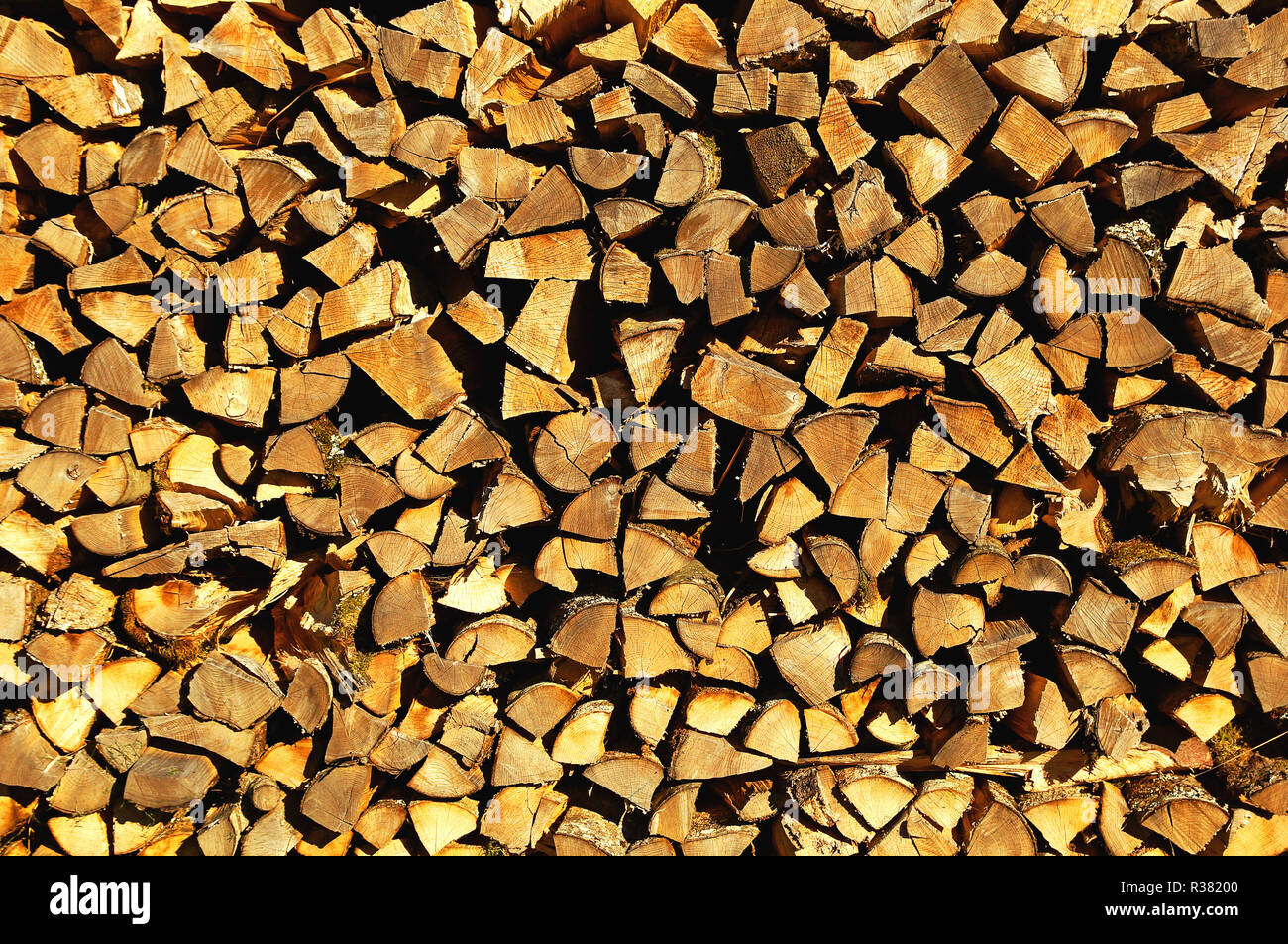 firewood / firewood Stock Photo