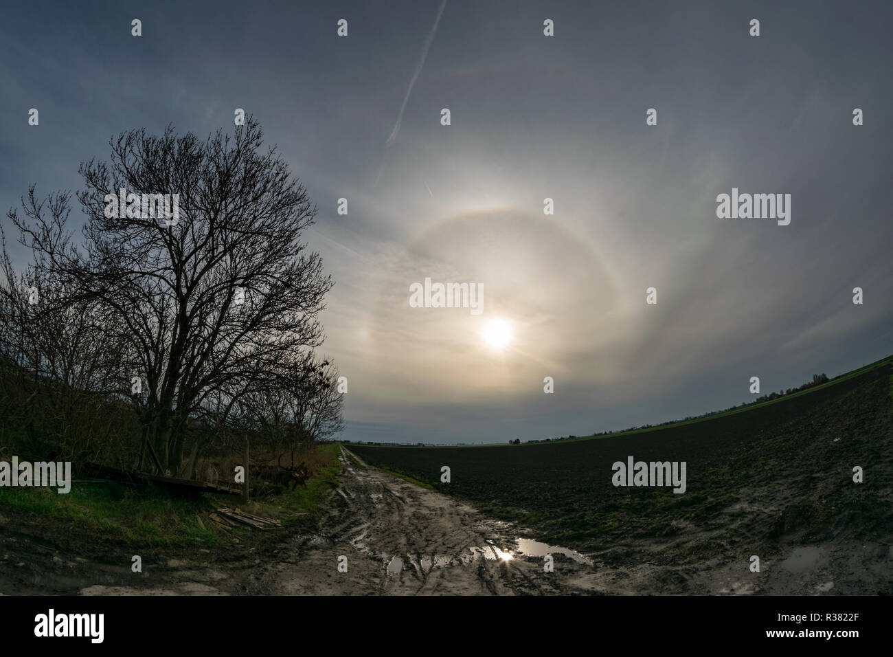 A bright 22 degree halo with upper tangent arc and parhelia over the dutch countryside Stock Photo
