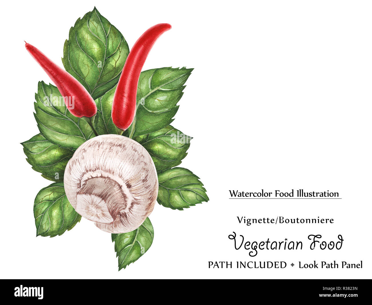 Watercolor vegan vignette biutonniere by freshness green basil leaves, chili peppers and champignon. Isolated, clipping path included, vegan design Stock Photo