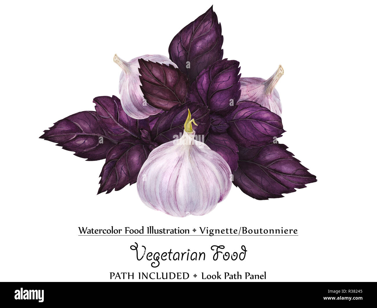 Watercolor vegan vignette biutonniere by freshness purple basil and garlic. Isolated, clipping path included, vegan design Stock Photo