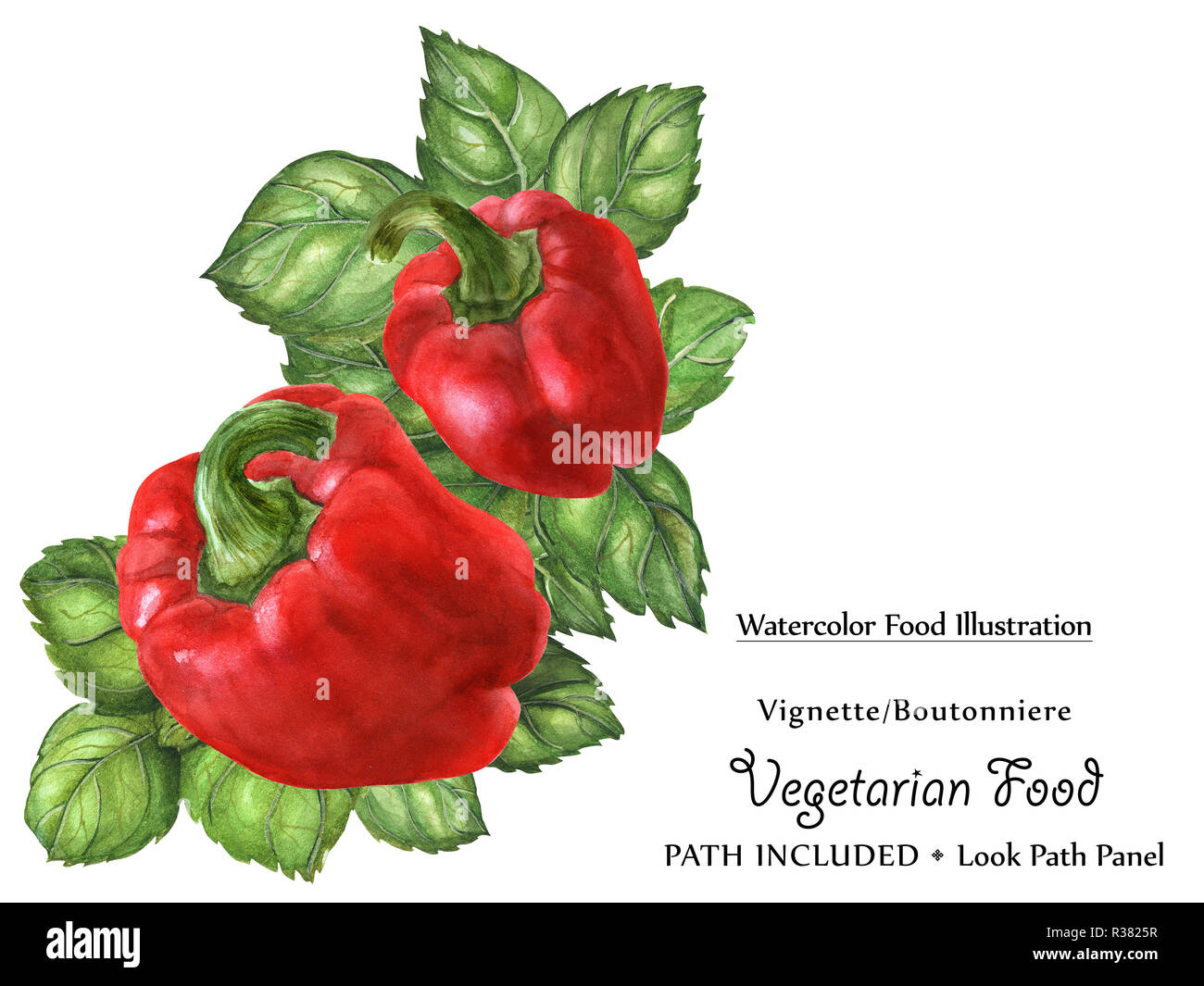 Watercolor vegan vignette biutonniere by freshness green basil leaves and bell peppers. Isolated, clipping path included, vegan design Stock Photo
