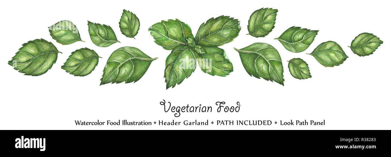 Watercolor vegan headline garland by freshness green basil leaves. Isolated, clipping path included, vegan design Stock Photo