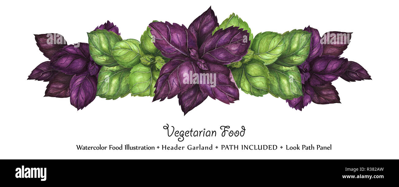 Watercolor vegan headline garland by freshness green and purple basil leaves. Isolated, clipping path included, vegan design Stock Photo