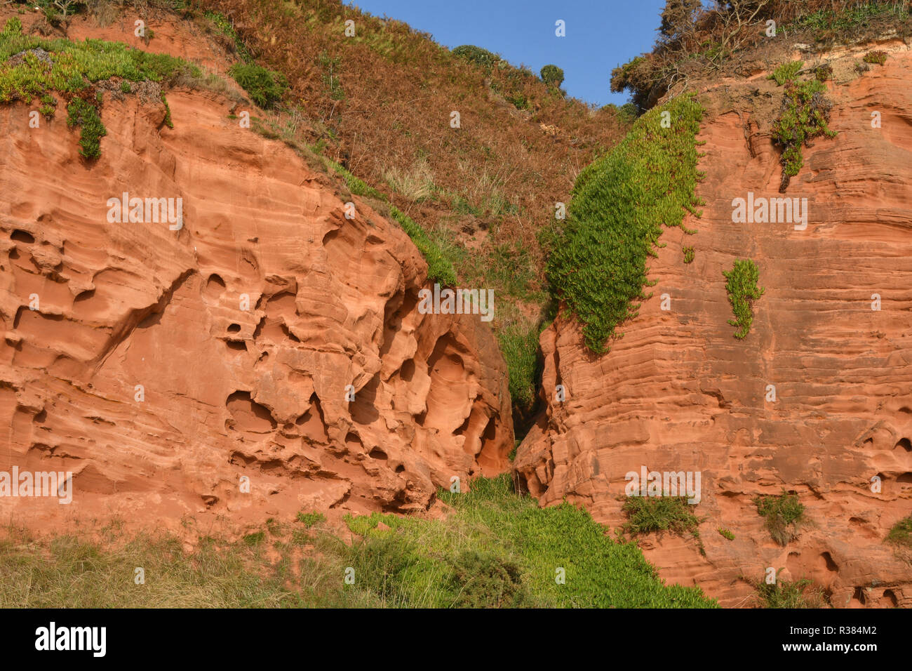 Wind and rain eroded rock, Devon New Red sandstone cliffs, nr Dawlish Devon Stock Photo
