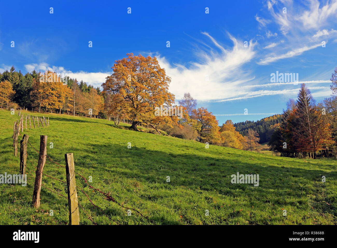 an autumn day in hochsauerland Stock Photo