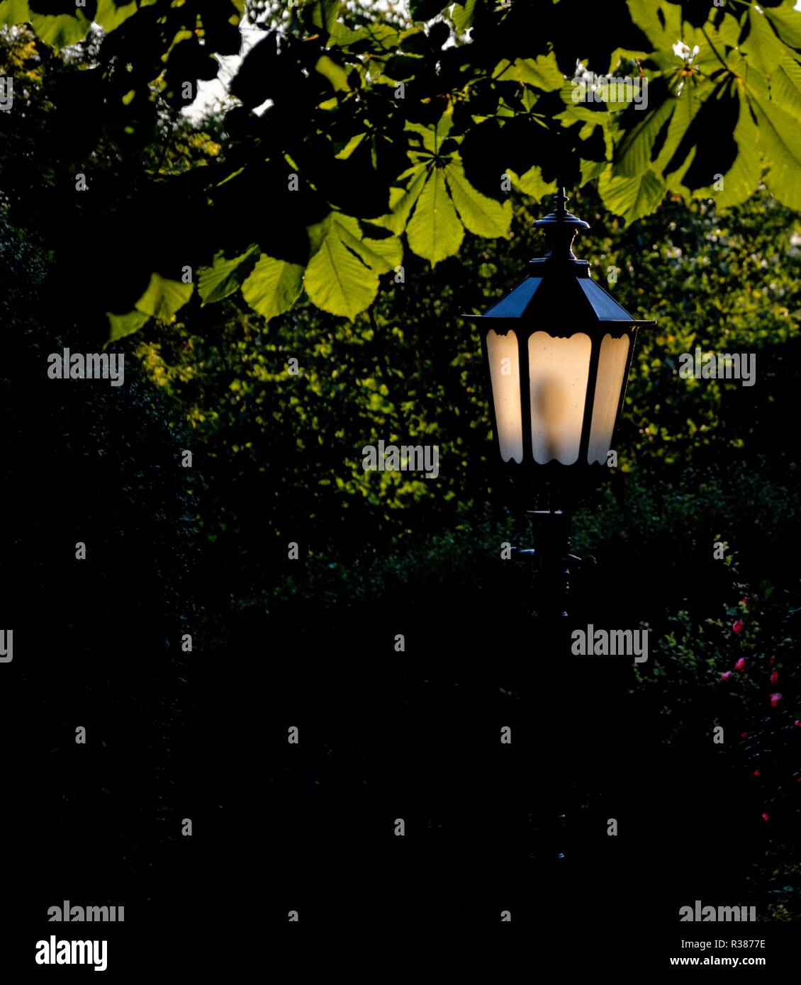 street lamp under the chestnut tree Stock Photo