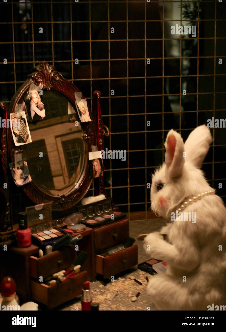 Bristol, England July 2009 Banksy v.s Bristol Art Museum. A photo of a rabbit adorning itself taken from Banksy's exhibition at the Bristol Art Museum Stock Photo