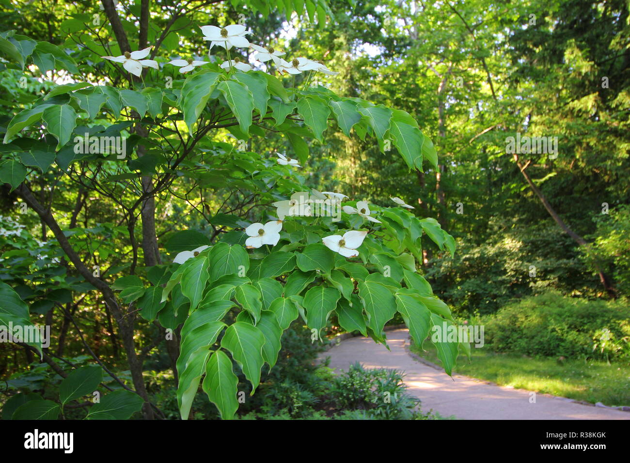 Inniswood Metro Gardens Ohio Stock Photo 225769731 Alamy