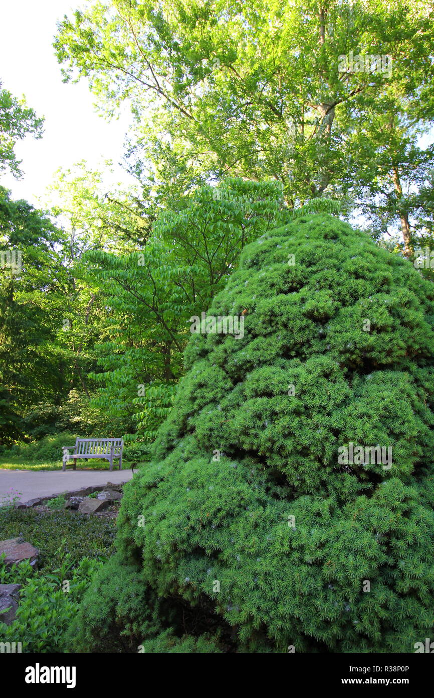 Inniswood Metro Gardens Westerville Ohio Stock Photo 225771638