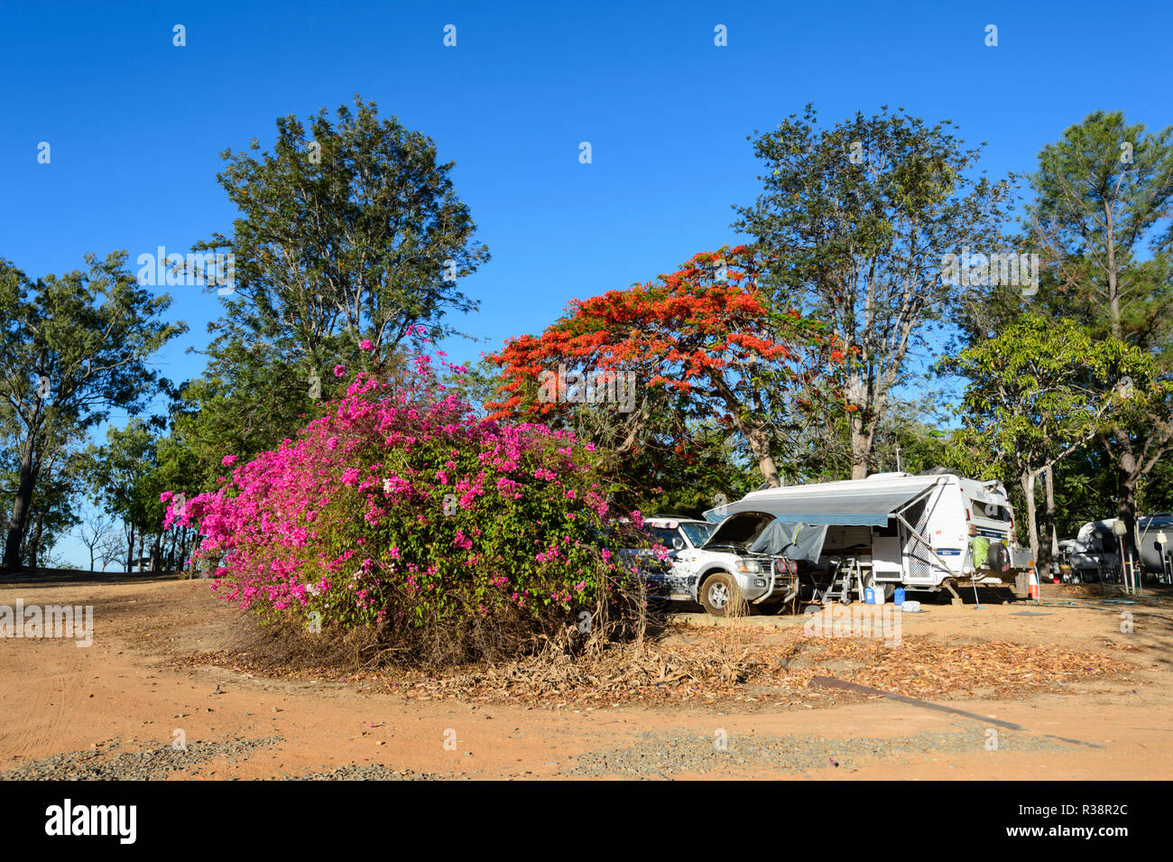 Caravan camped next to a Bougainvillea bush and a Royal Poinciana tree, Atherton Tablelands, Far North Queensland, FNQ, QLD, Australia Stock Photo