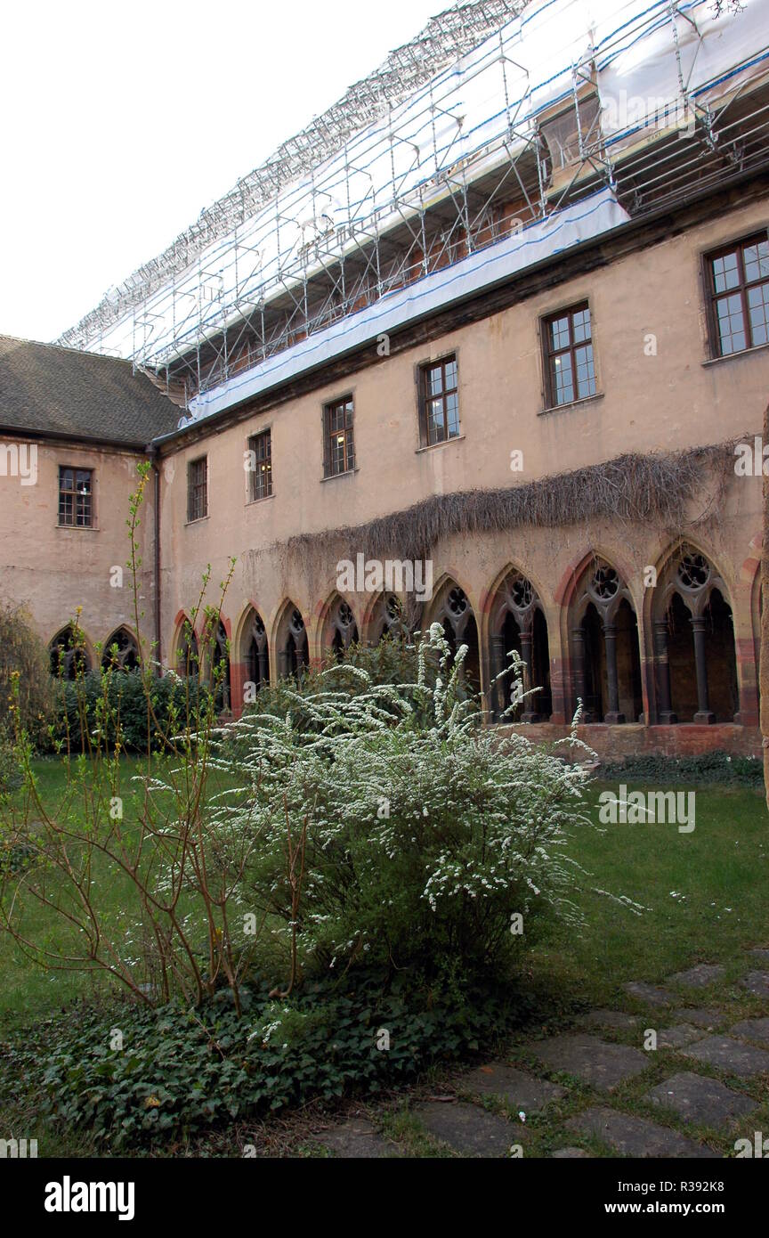 cloister of the former dominican pin in colmar / alsace Stock Photo