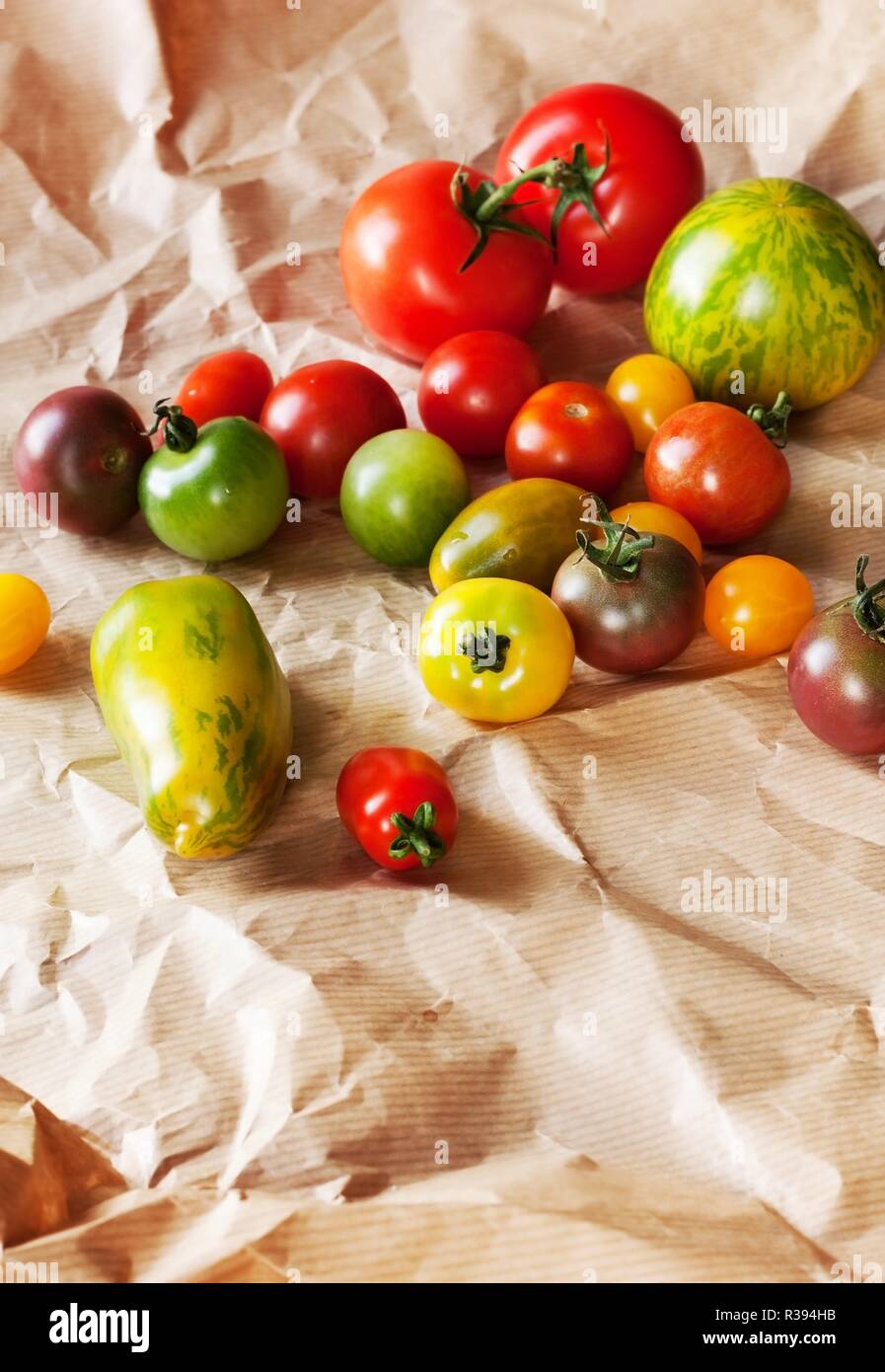 colorful tomatoes Stock Photo