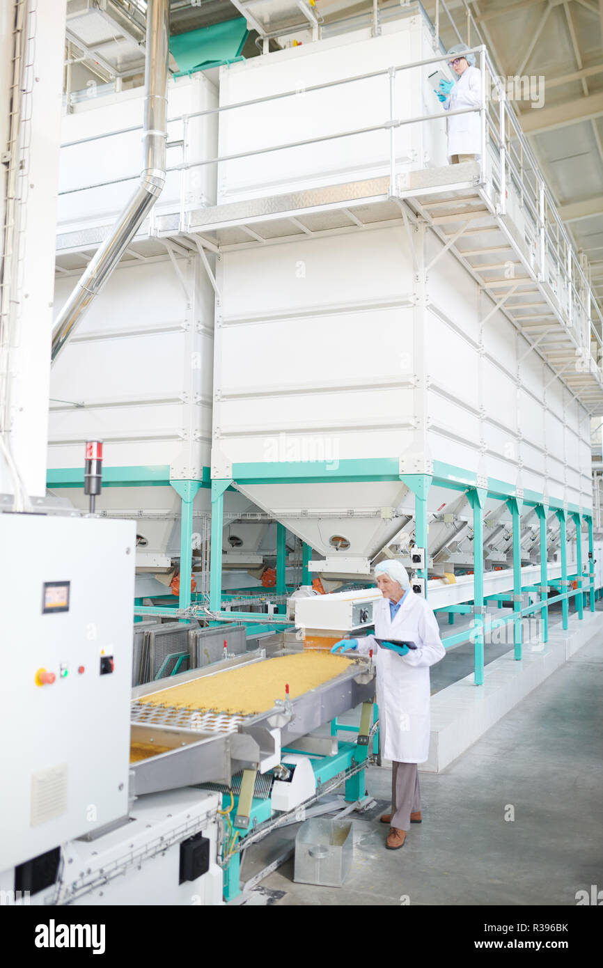 Senior Worker at Plant Stock Photo