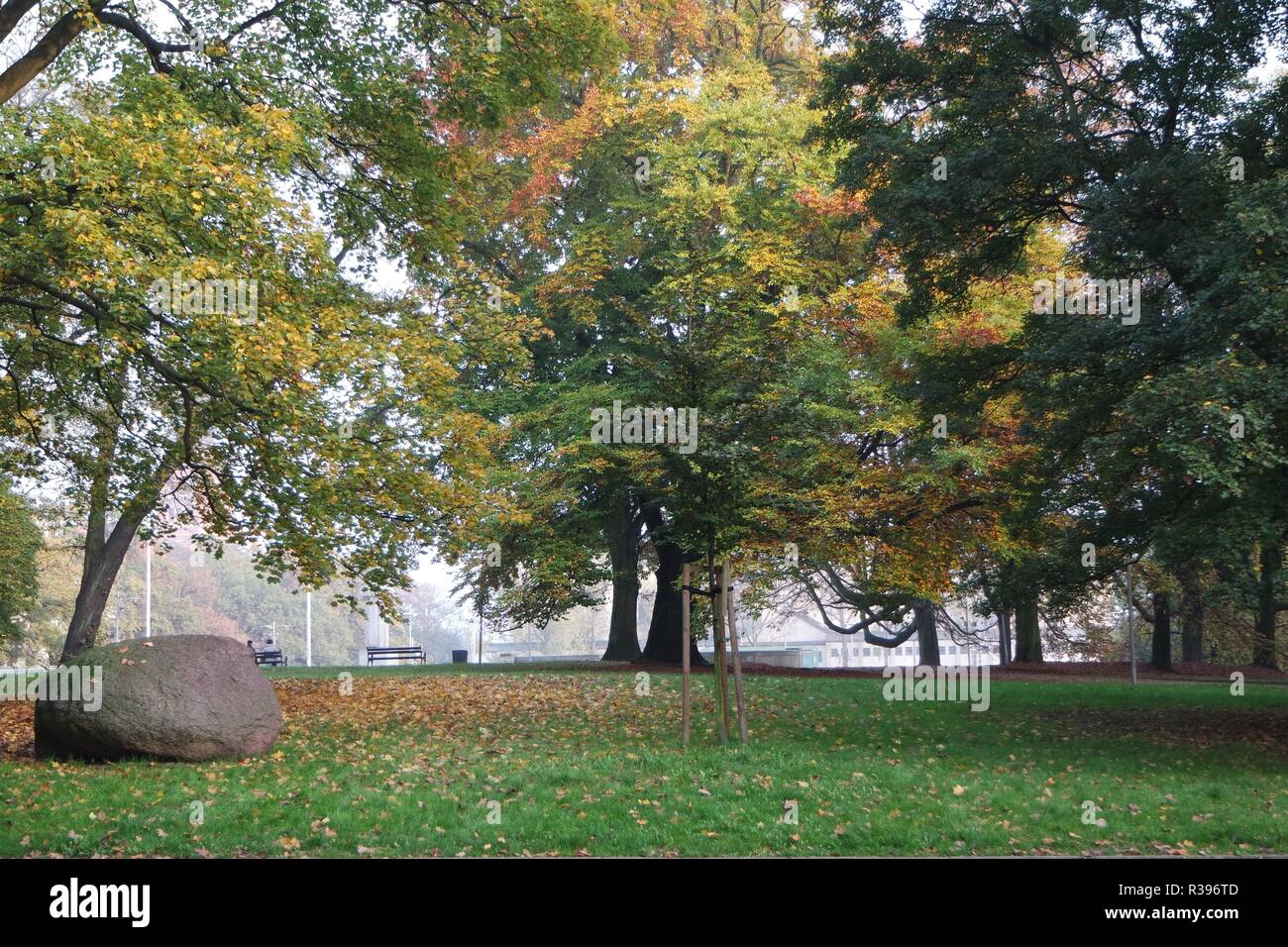 autumn in szczecin,szczecin Stock Photo