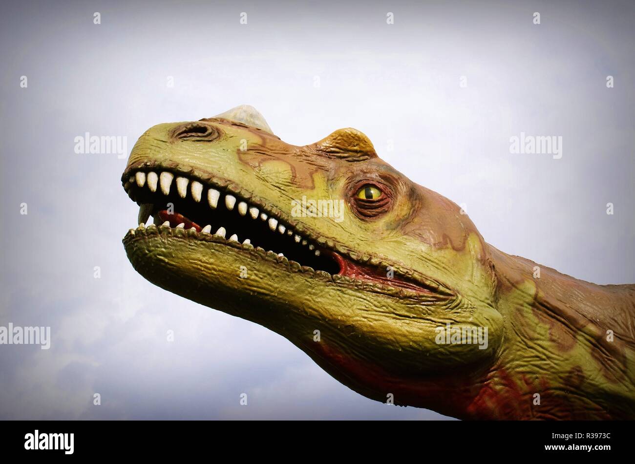 Trex head hi-res stock photography and images - Alamy