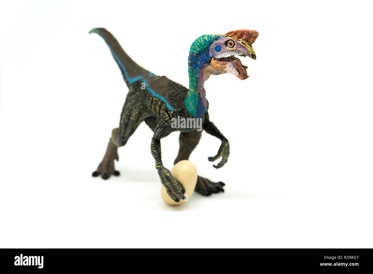 Oviraptor  isolated on white background Stock Photo