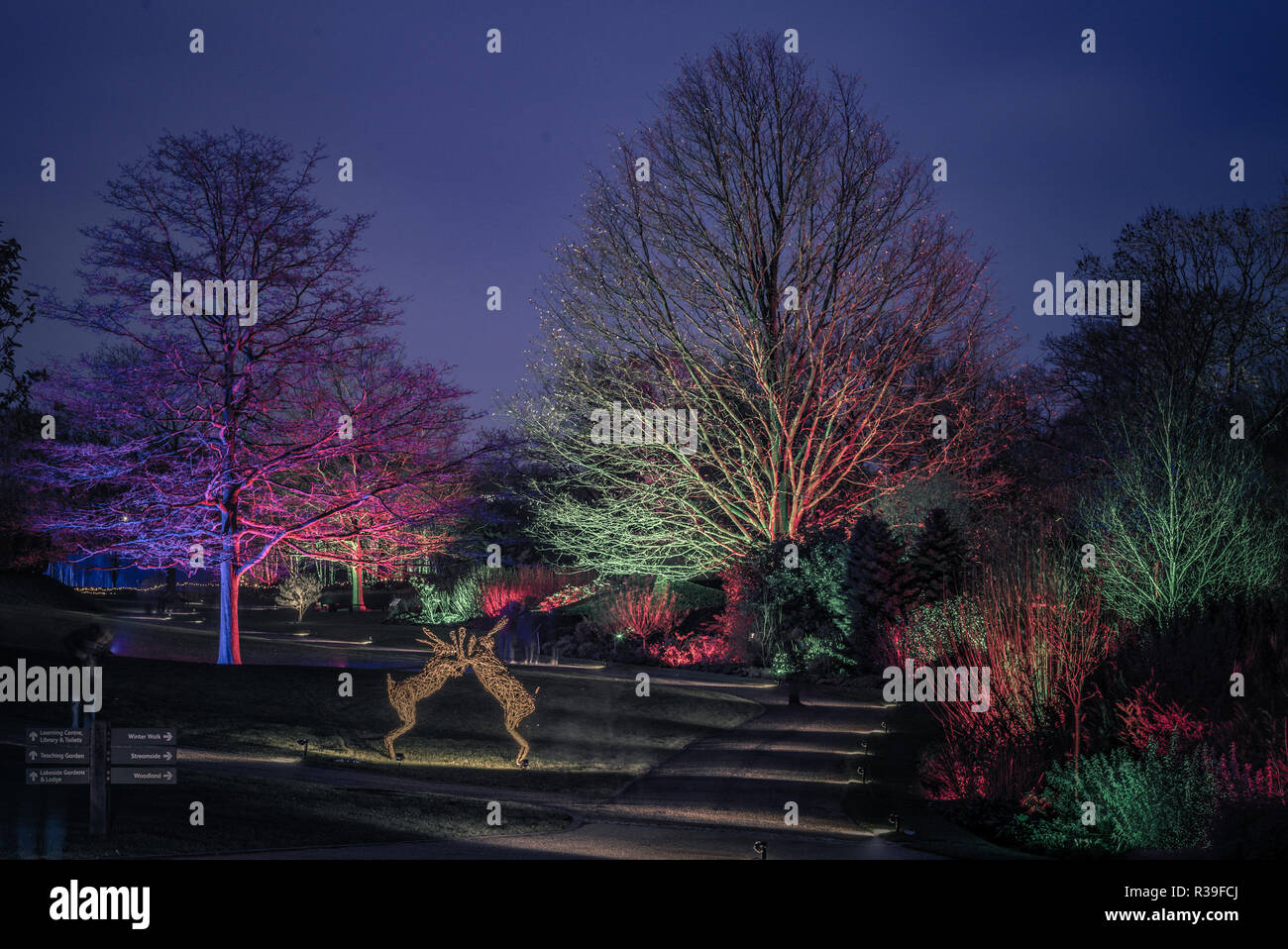 Harlow carr garden winter walk hires stock photography and images Alamy