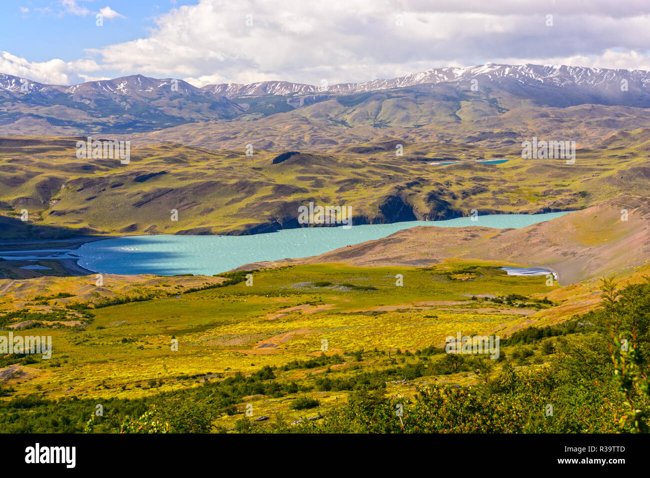 Lake Nordenskjold in Torres del Paine National Park in Chile Stock Photo Alamy