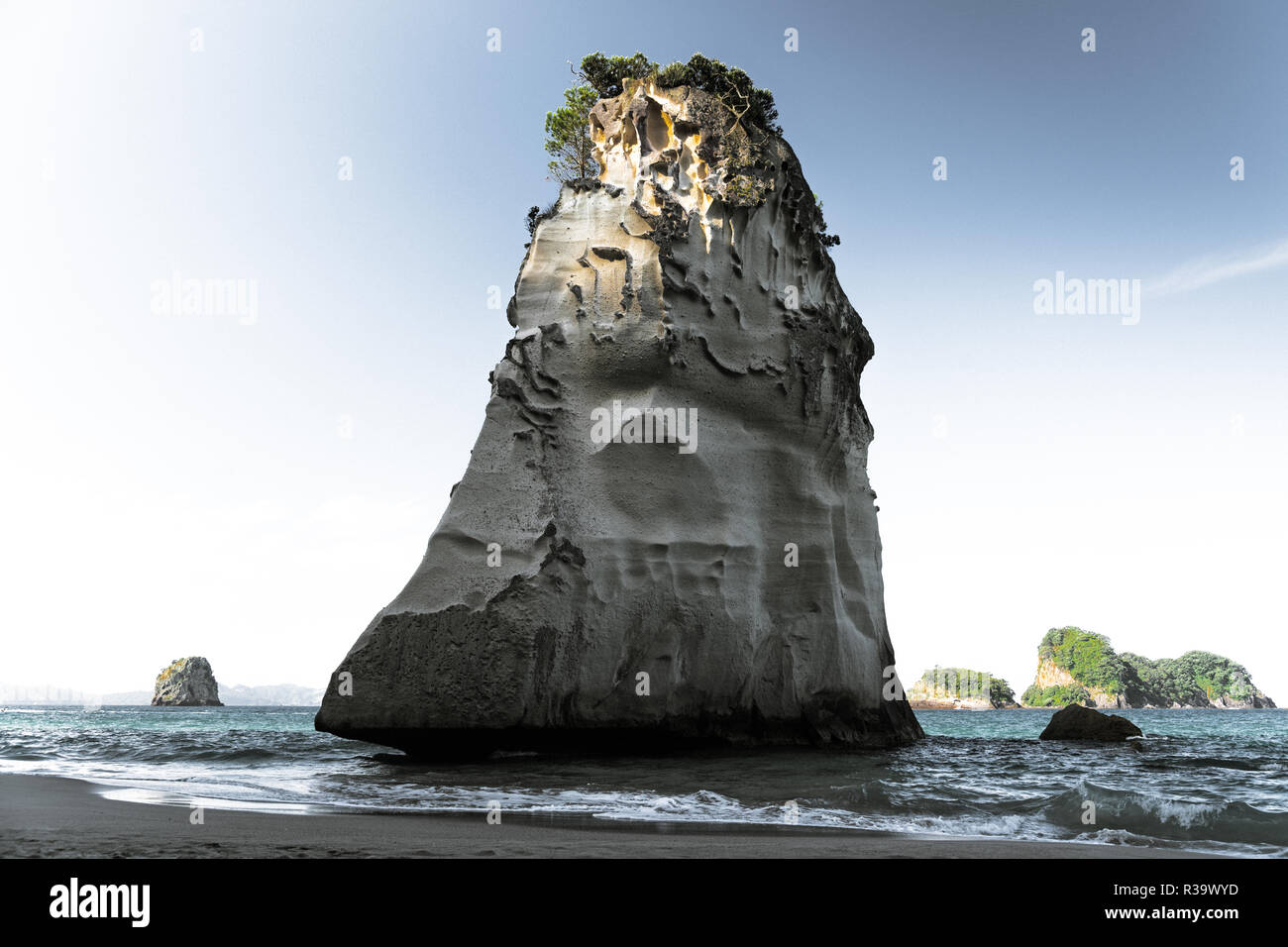 Rock in the ocean, Coromandel Peninsula, New Zealand Stock Photo