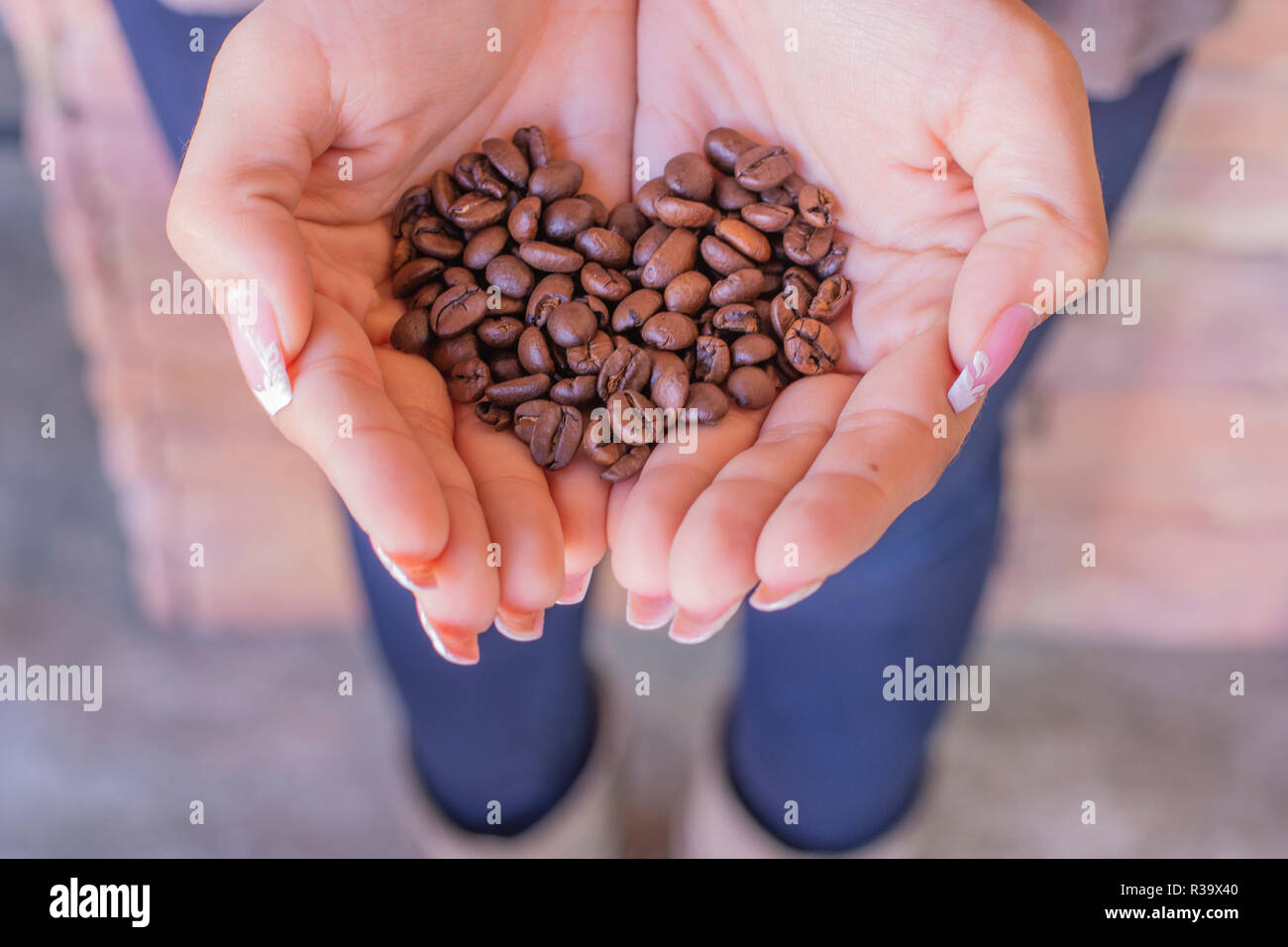 Coffee beans in the hands Stock Photo