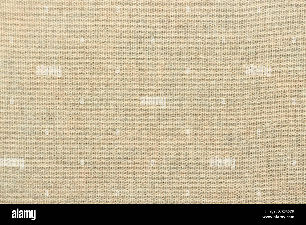 Fibrous layer hi-res stock photography and images - Alamy