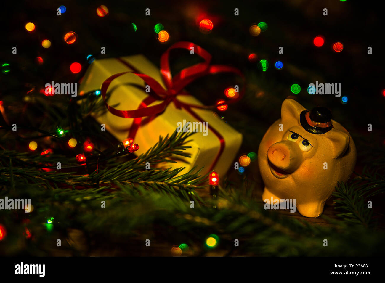 The New Year 2019 is the year of the pig. Stock Photo