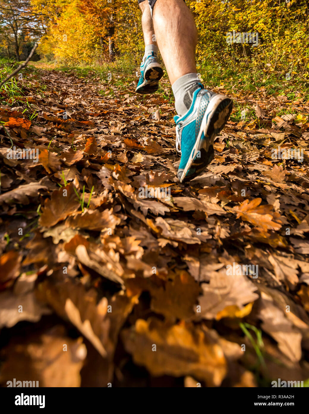 jogger in fall Stock Photo