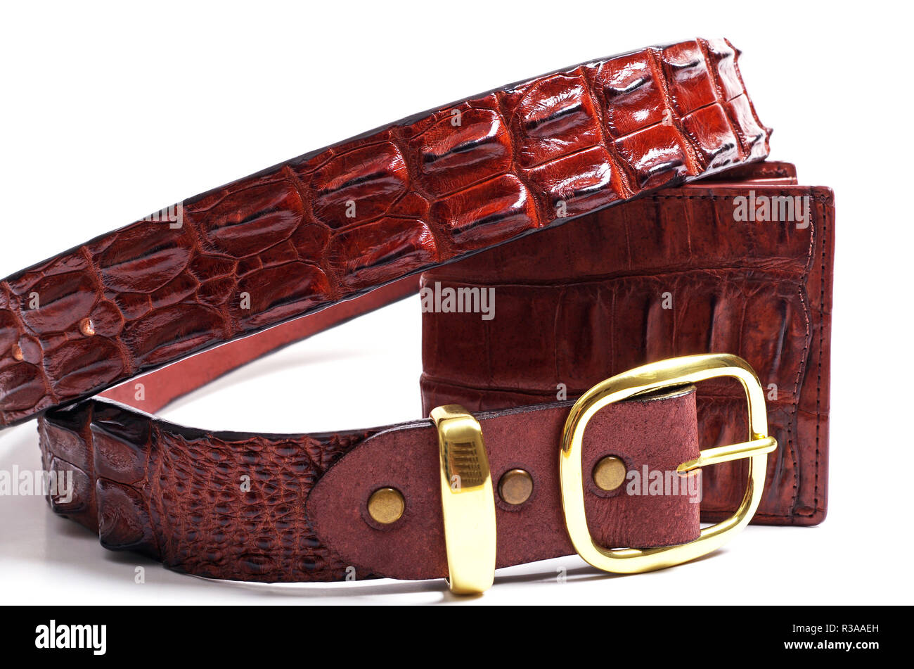 Product of skin crocodile hi-res stock photography and images - Alamy